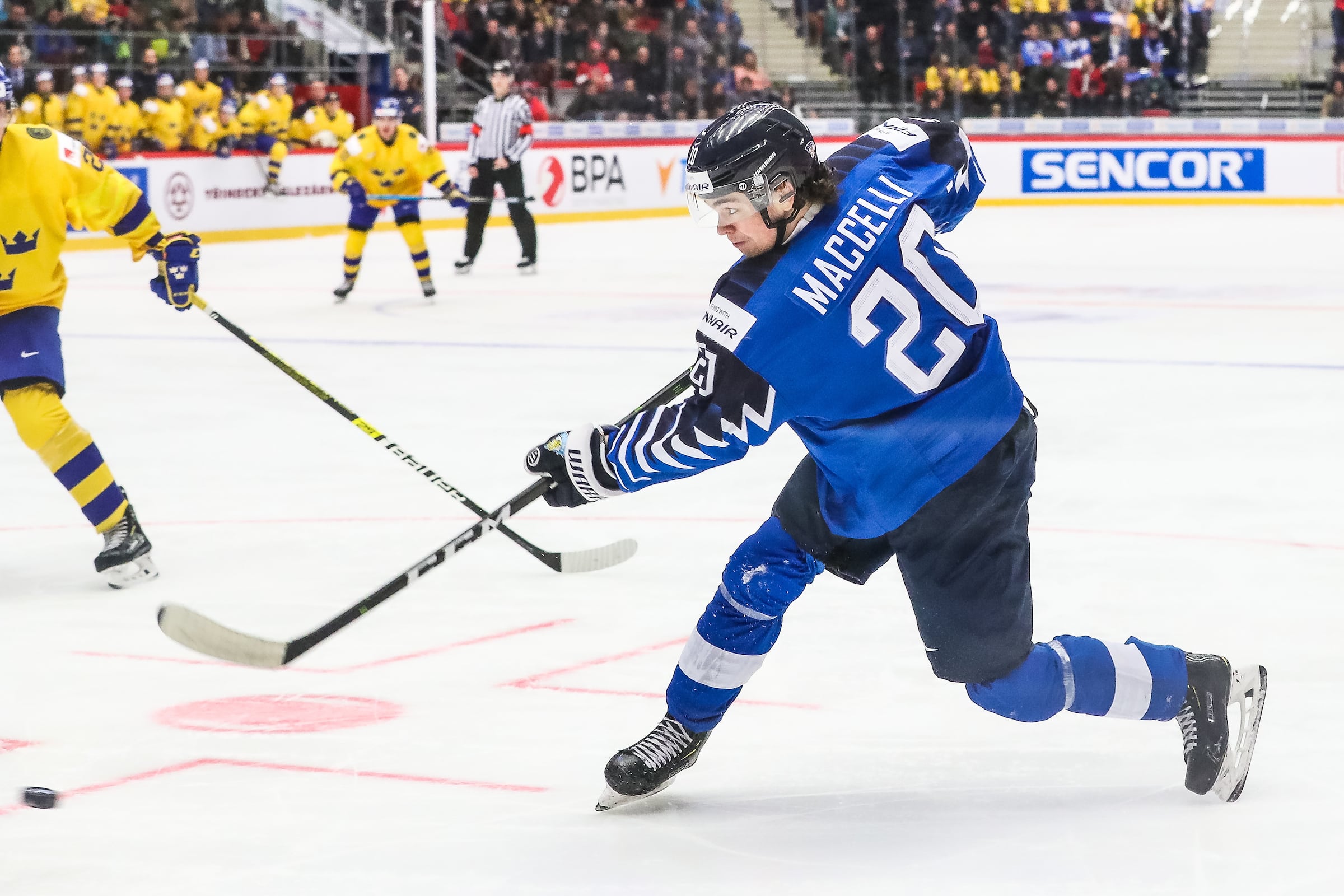 Matias Maccelli ei tule Leijonat-paitaan – nyt selvisi miksi