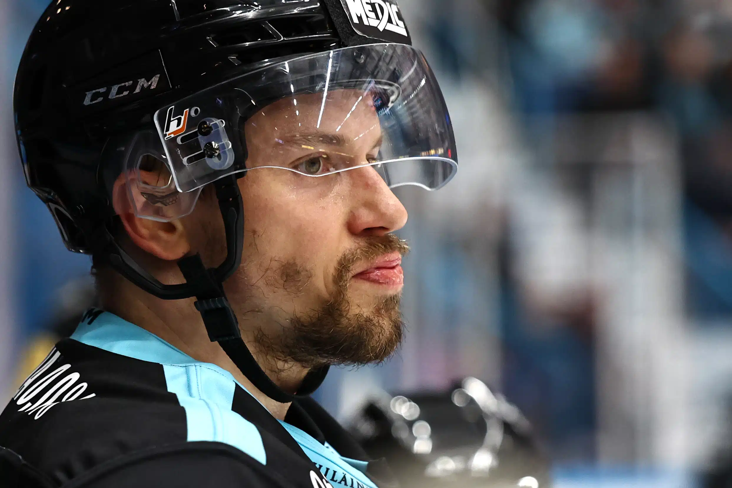 Pelicansille karmea takaisku