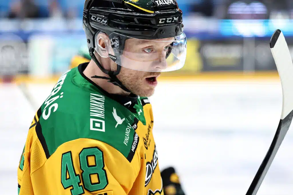 Ilvekselle karmea uutinen – synkkyys syvenee