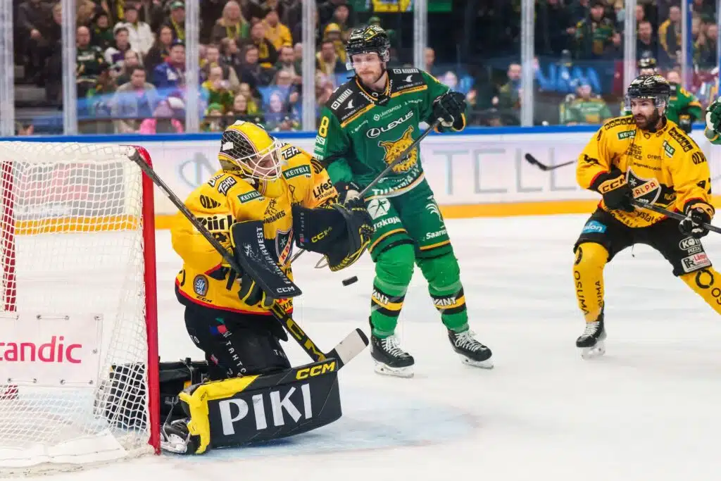 Ilves voitti – yleisökatoa havaittavissa