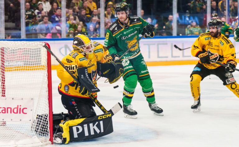 Ilves voitti – yleisökatoa havaittavissa