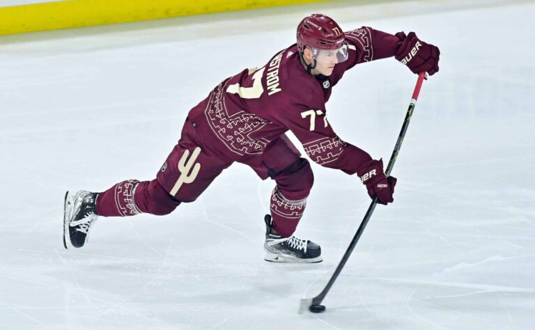 Ruotsalaislupaus vaihtaa maisemaa NHL:ssä