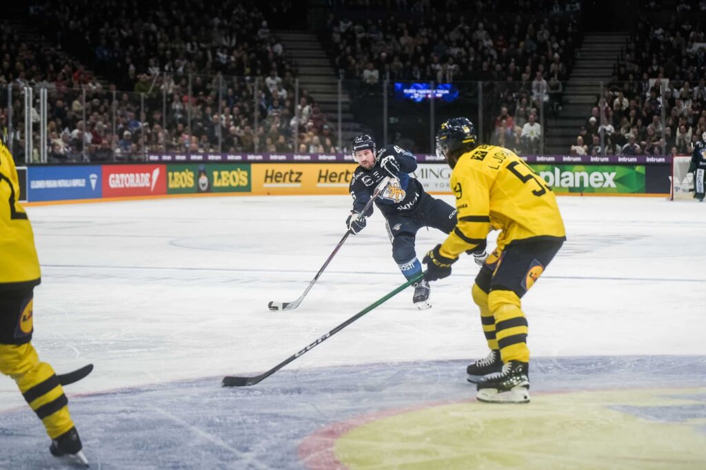 Leijonille luu käteen – klaava kääntyi kruunuksi