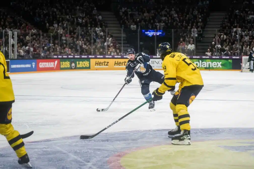 Leijonille luu käteen – klaava kääntyi kruunuksi