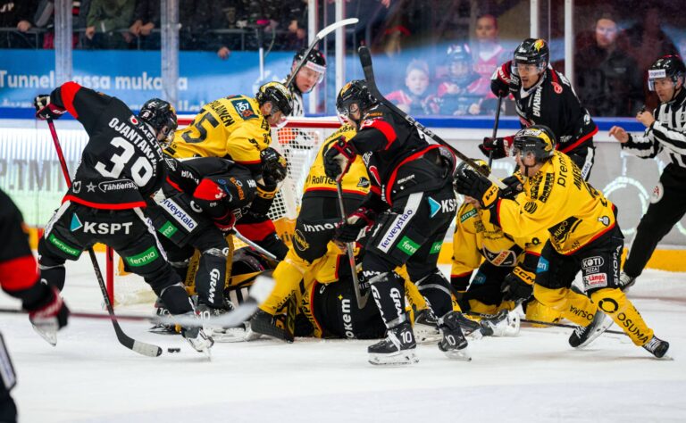 ”V**un Liiga!” Kirosanat kaikuivat ja mailoja katkottiin – näin erotuomarijohtaja perusteli kohuratkaisua