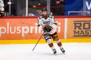Leijonien yllättäjälle iloinen uutinen